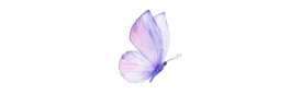 Collection Eclosion